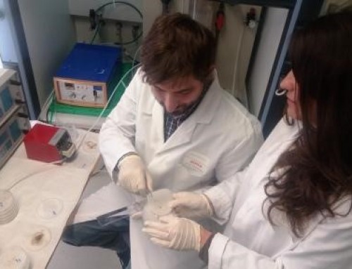 Ensayos de fitotoxicidad Zucconi de los fangos y purines STO3RE