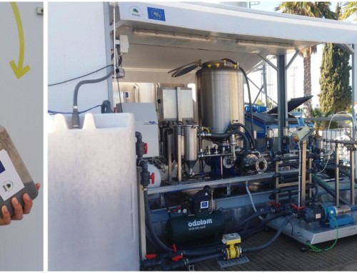 The ozonation process removes the bad smell of pig slurry and sludge